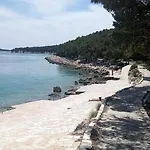 Diving 3*
