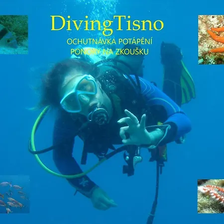 Diving 住宿加早餐酒店 3*