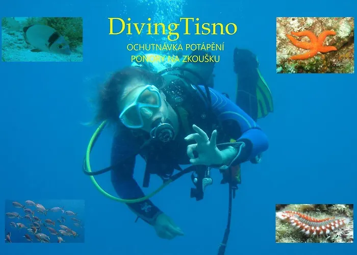 Diving krevet i doručak 3*